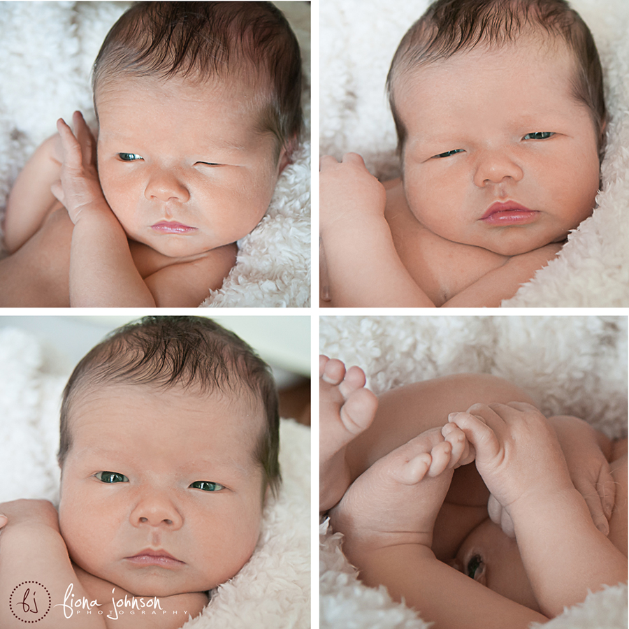 ct newborn photographer